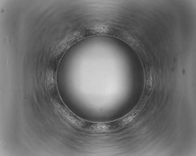X0000054450518200507291320
