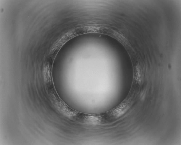 X0000054450522200507291320