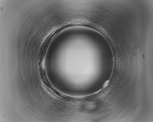 X0000054450530200507291319
