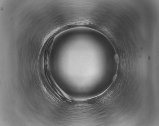 X0000054450536200507291319