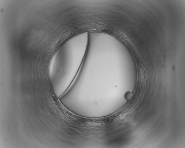 X0000054450545200507291319
