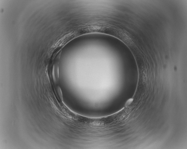 X0000054450546200507291319