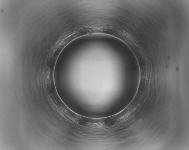X0000054450548200507291319