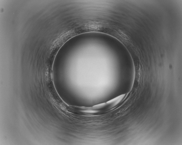X0000054450552200507291319