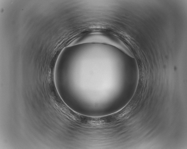 X0000054450556200507291319
