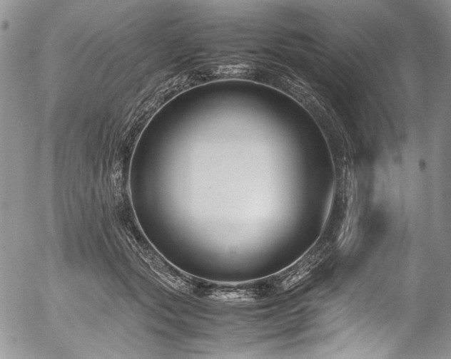 X0000054450557200507291319