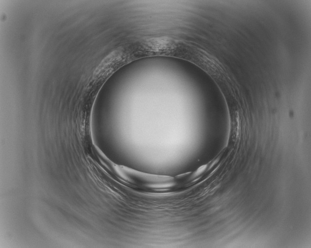 X0000054450558200507291319