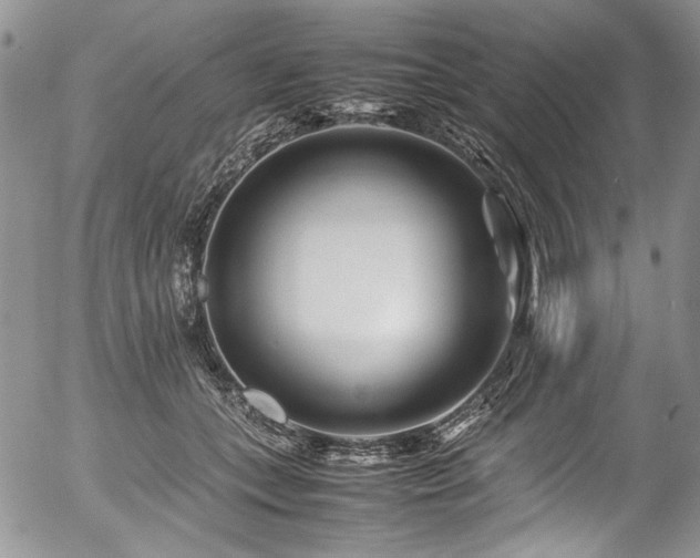 X0000054450559200507291319