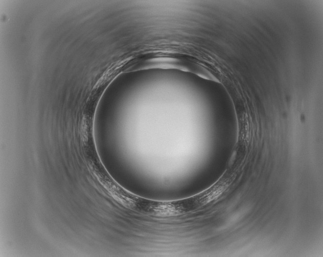 X0000054450562200507291319