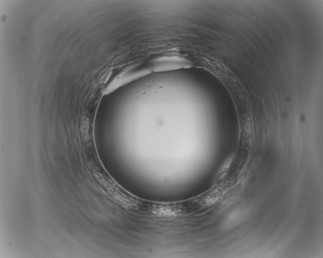 X0000054450565200507291319