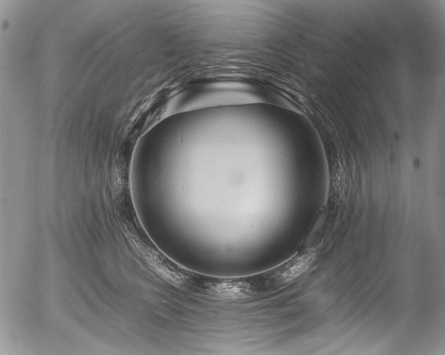 X0000054450566200507291319