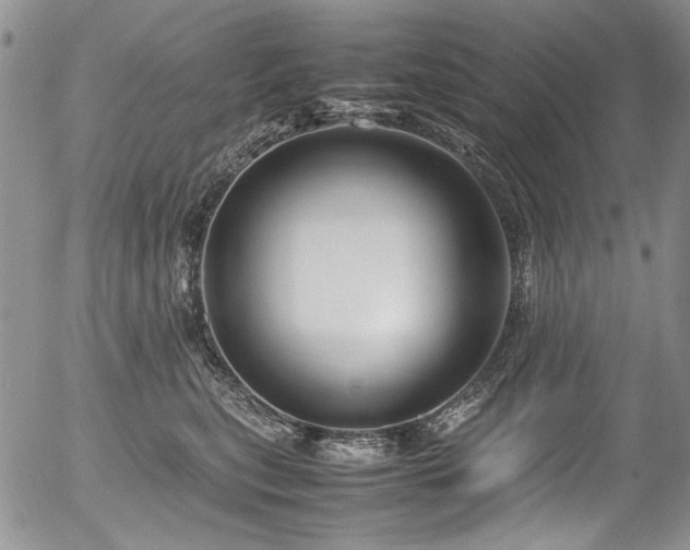 X0000054450567200507291319