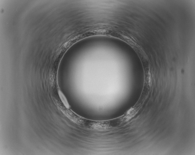 X0000054450568200507291319