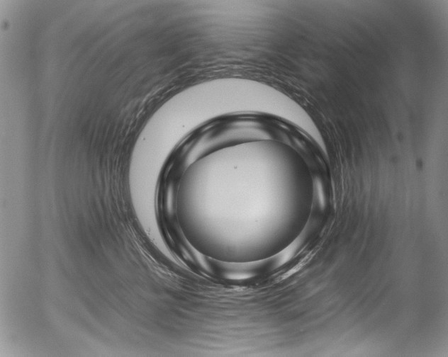 X0000054450570200507291319