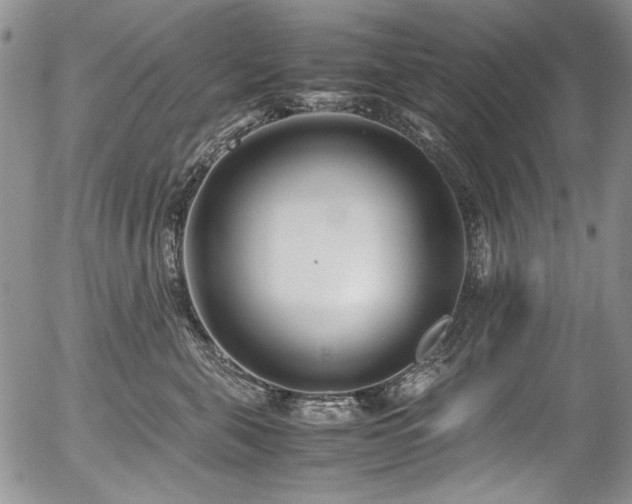 X0000054450571200507291319