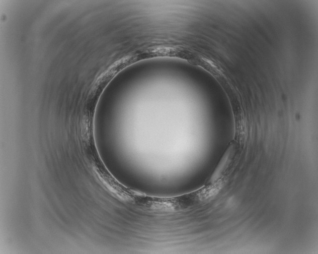 X0000054450572200507291319