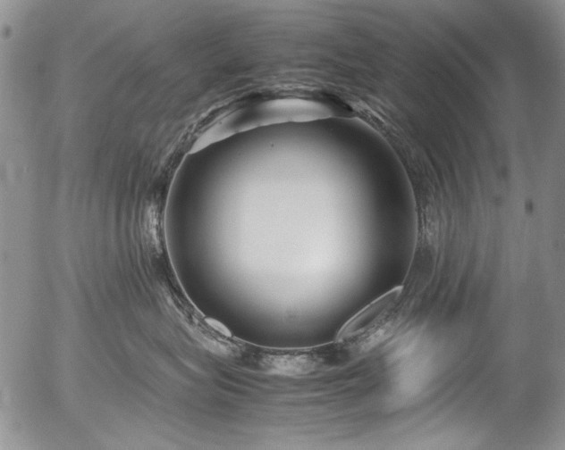 X0000054450575200507291320