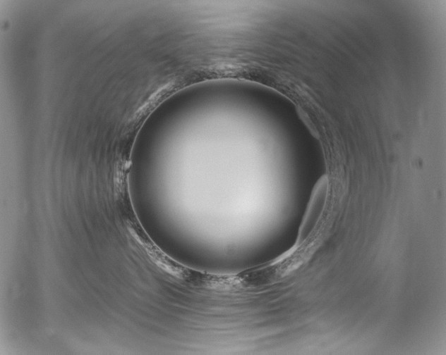 X0000054450576200507291320