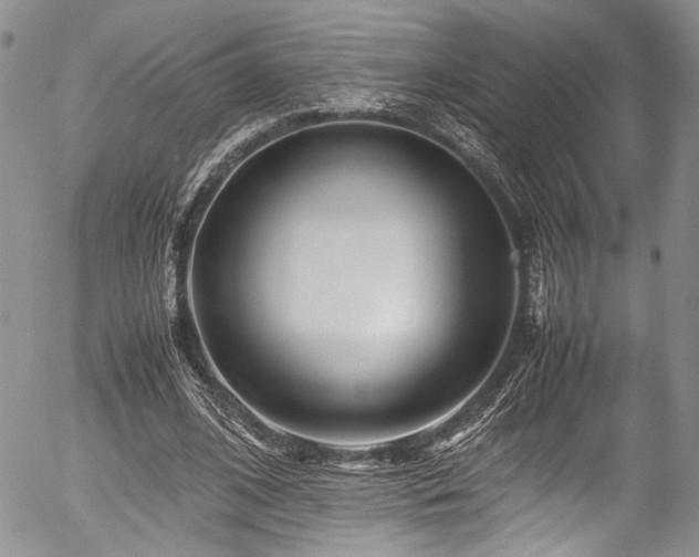 X0000054450584200507291319