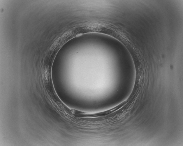 X0000054450597200507291318