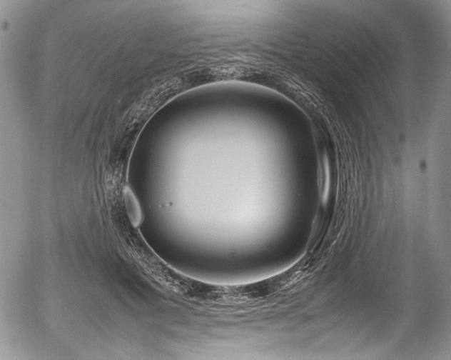 X0000054450601200507291318