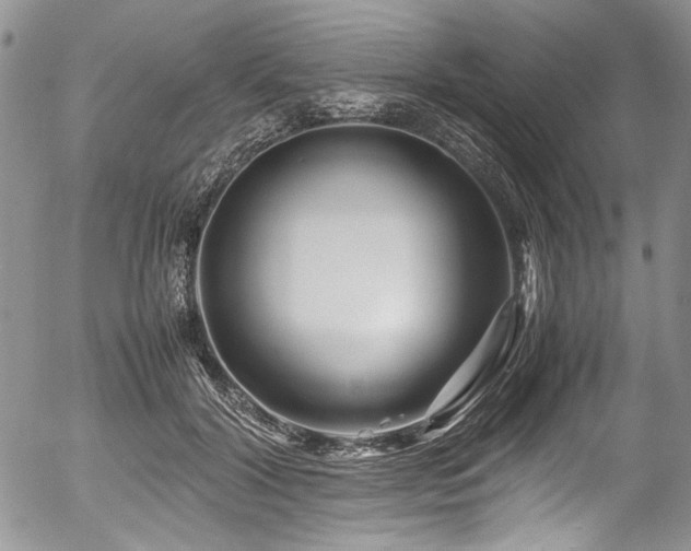 X0000054450604200507291318