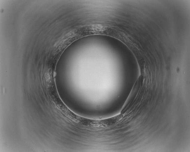 X0000054450608200507291318