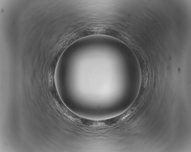 X0000054450609200507291318