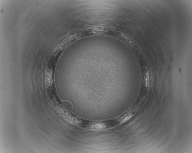 X0000054450610200507291318