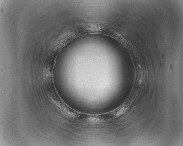 X0000054450614200507291318