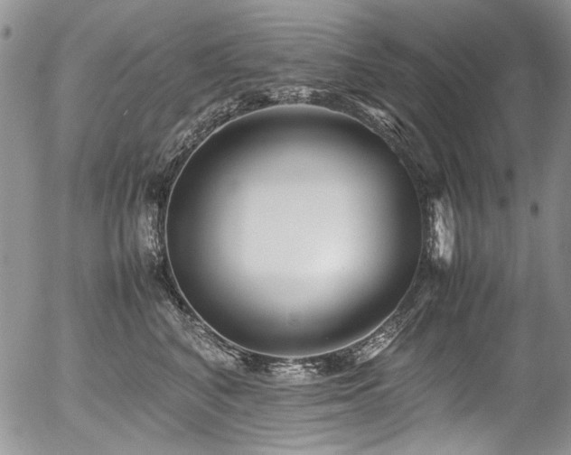 X0000054450616200507291318