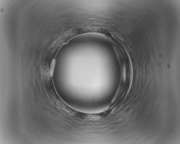X0000054450617200507291318