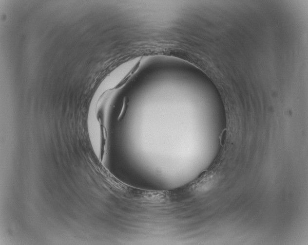X0000054450624200507291318