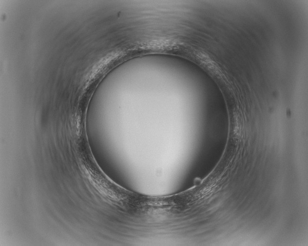 X0000054450636200507291317
