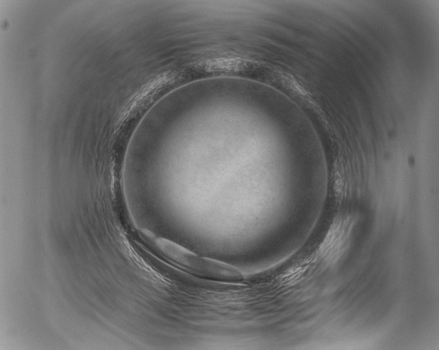 X0000054450637200507291317