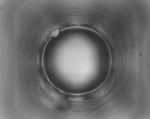 X0000054450639200507291317