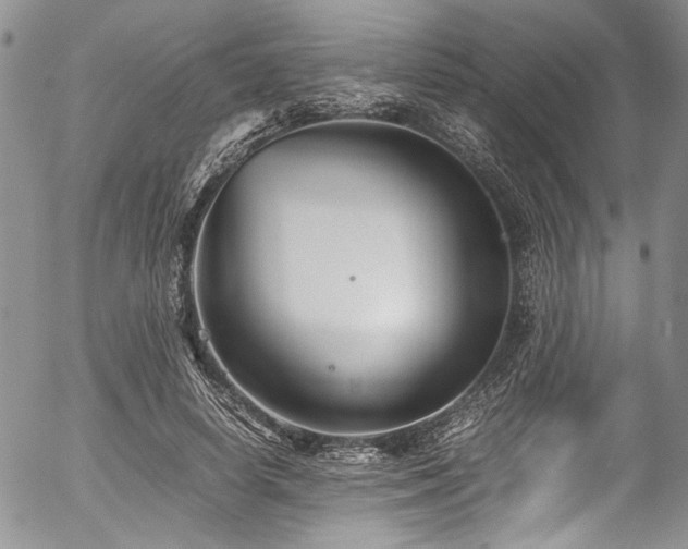 X0000054450642200507291317