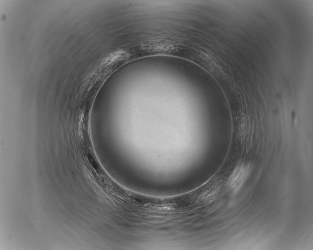 X0000054450643200507291318