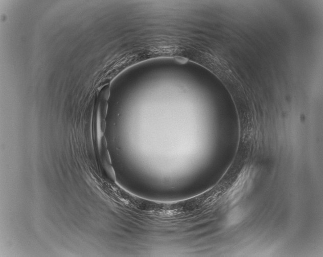 X0000054450647200507291318