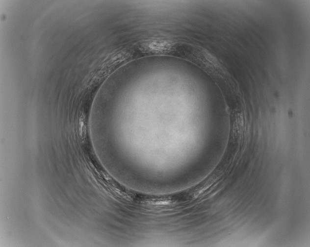 X0000054450651200507291318