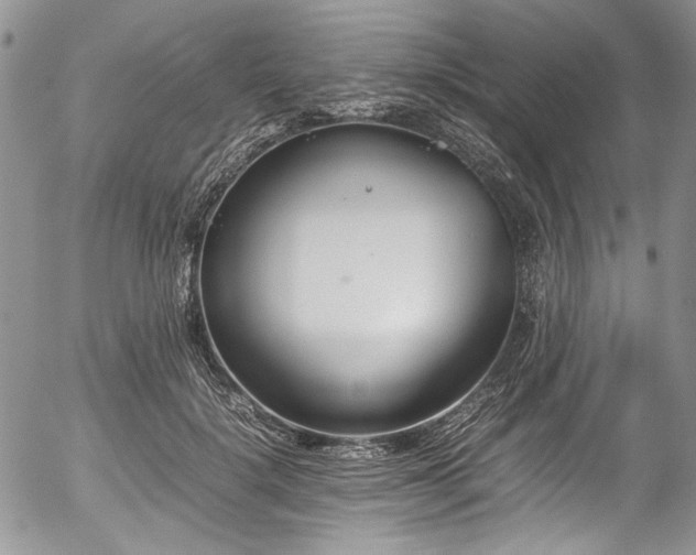 X0000054450652200507291318