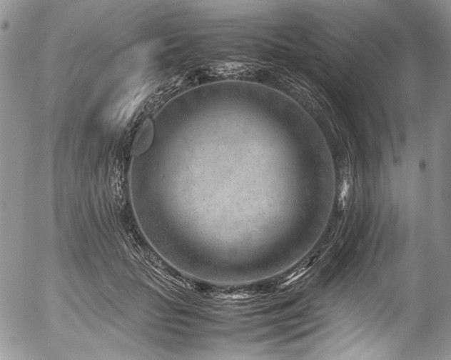 X0000054450653200507291318