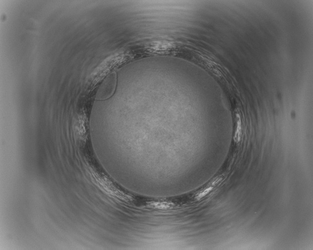 X0000054450654200507291318