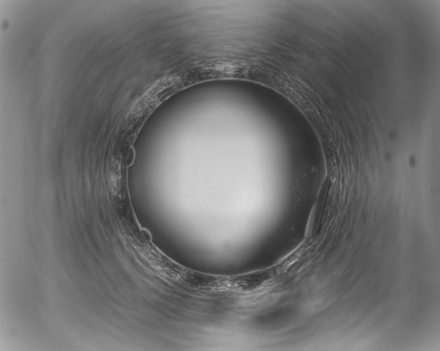 X0000054450656200507291318