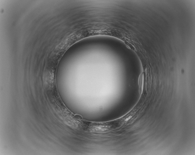 X0000054450657200507291318