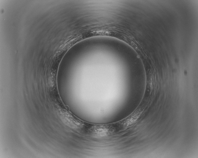 X0000054450658200507291318