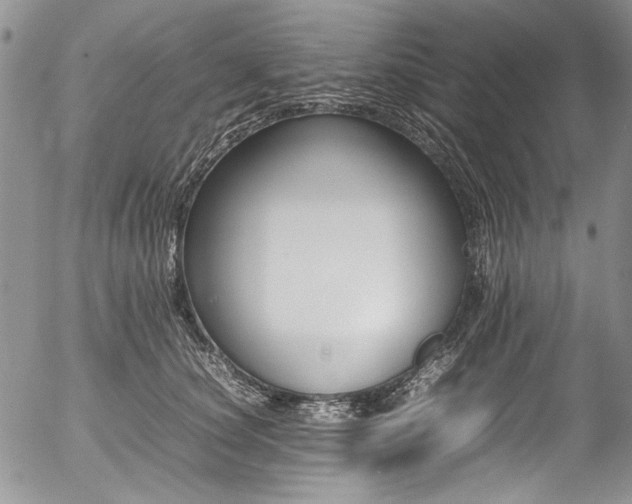 X0000054450660200507291318