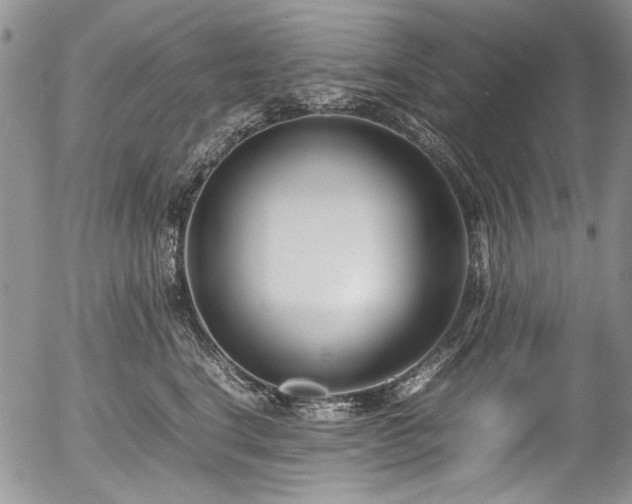 X0000054450664200507291318