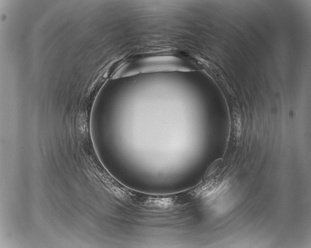 X0000054450665200507291318