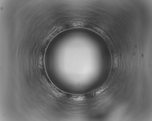 X0000054450667200507291318